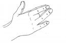 Йога пальцев: исцеляющие мудры для сердца и сосудов